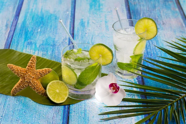 Cuban Mojito cocktail in tropical blue wood flowers and starfish — Stock Photo, Image