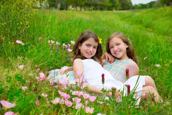 Gyermekek meg lány a tavaszi mák virág meadow — Stock Fotó