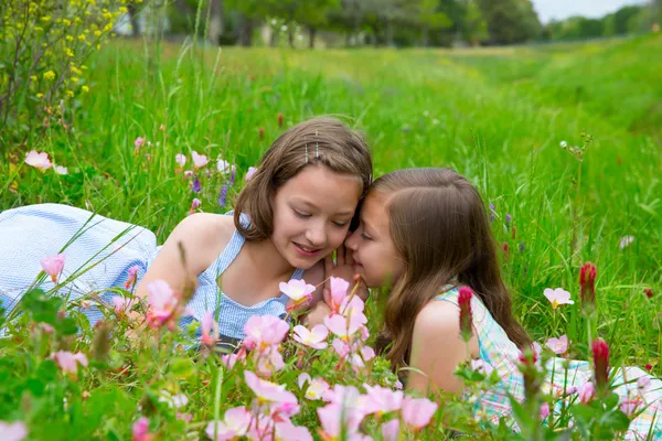 Twin sisters whispering ear on spring flowers meadow — Stock Photo, Image