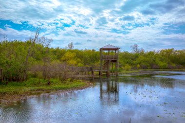 sugarland Texas cullinan Park'ta beyaz lake