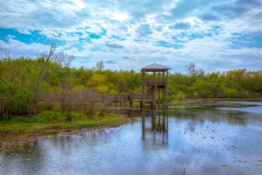 White Lake at Cullinan Park in sugarland Texas