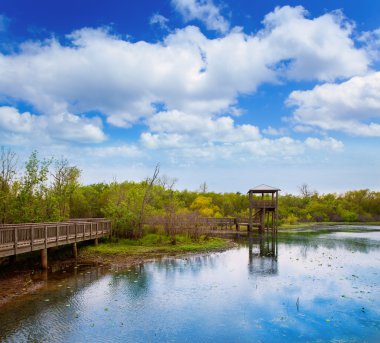 sugarland Texas cullinan Park'ta beyaz lake