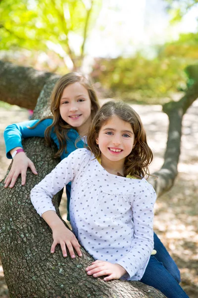 Подруга сестра дівчата відпочивають на дереві стовбур природа — стокове фото