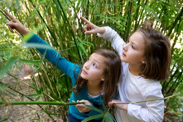 Irmã meninas gêmeas jogando na natureza apontando dedo — Fotografia de Stock