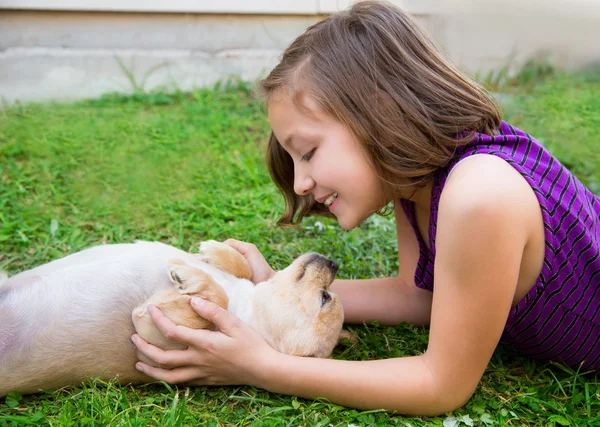 Dítě dívka si hraje s štěně pes chihuahua — Stock fotografie