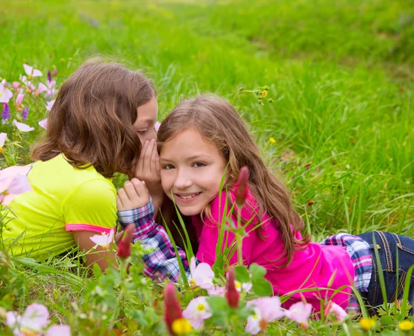 Heureux jumelles filles jouer chuchotant oreille dans prairie — Photo