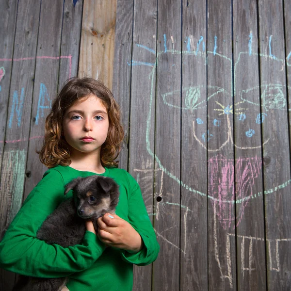 チワワ犬と厄介な服のソファに座っている女の子 — ストック写真