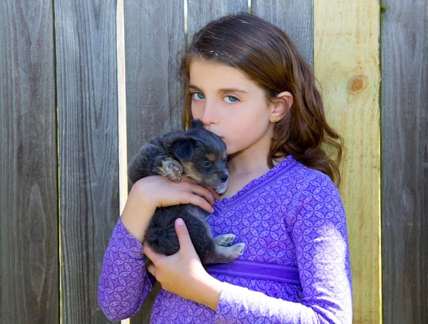 Children girl kissing her puppy chihuahua doggy — Stock Photo, Image