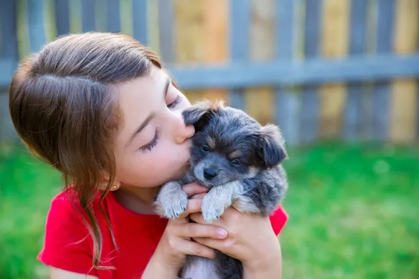 Barn tjej kysser hennes valp chihuahua doggy — Stockfoto