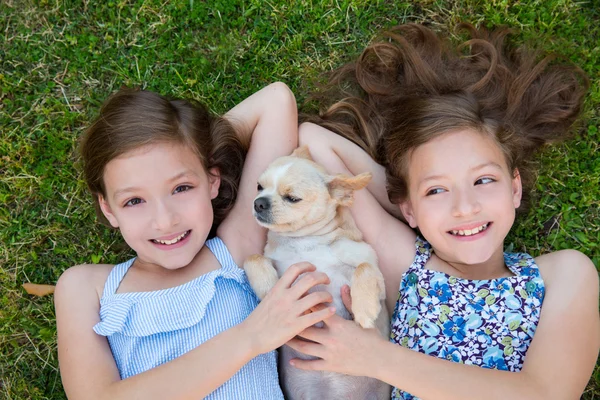 Hermanas gemelas jugando con el perro chihuahua acostado en el césped —  Fotos de Stock