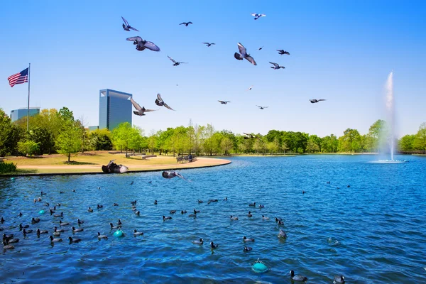 Houston Mc govern lake with spring water — Stock Photo, Image
