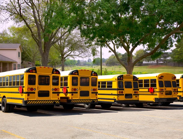 American typical school buses row in a park outdoor — Stock Photo, Image