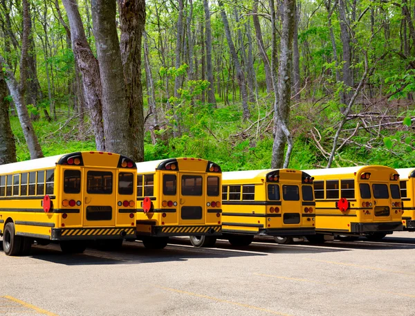 Amerikanska typiska skolbussar rad i en skog utomhus — Stockfoto