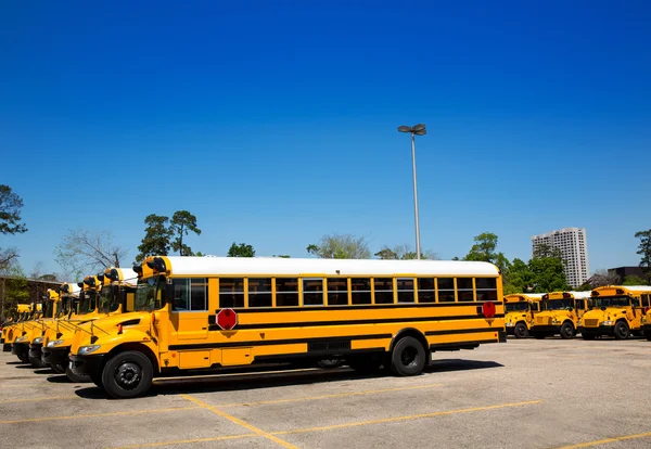 Fila de ônibus escolares típicos americanos em um estacionamento — Fotografia de Stock