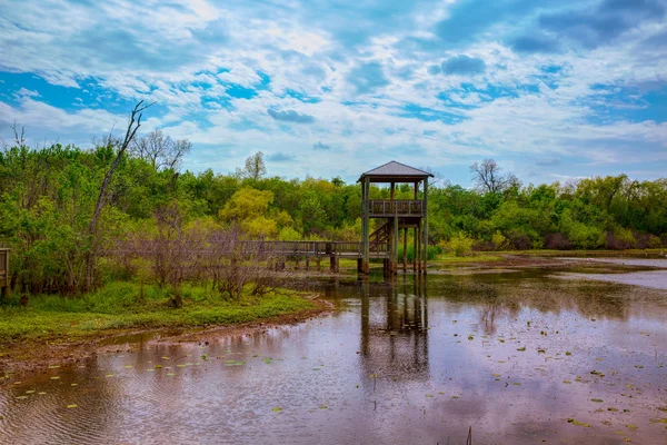 カリナン公園シュガーランド テキサスで白い湖 — ストック写真