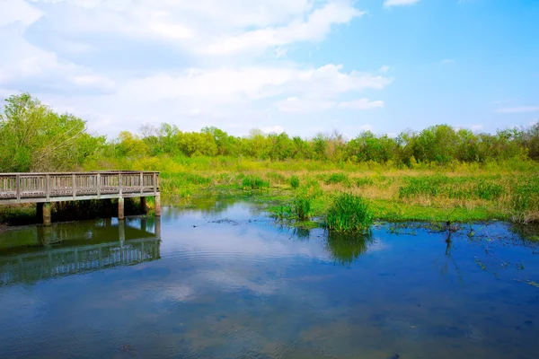 Lago Branco no Parque Cullinan em Sugar land Texas — Fotografia de Stock
