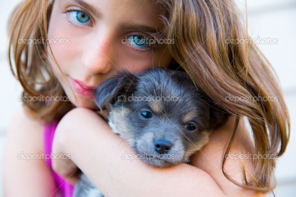 girl hug a little puppy dog gray hairy chihuahua