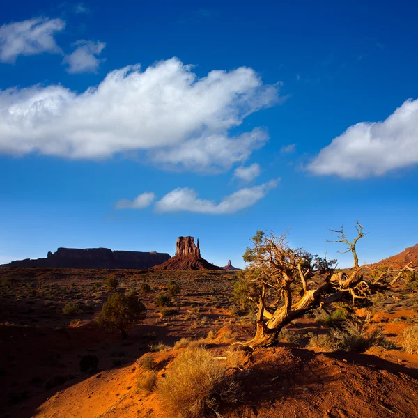 Monument valley západ rukavice butte utah park — Stock fotografie