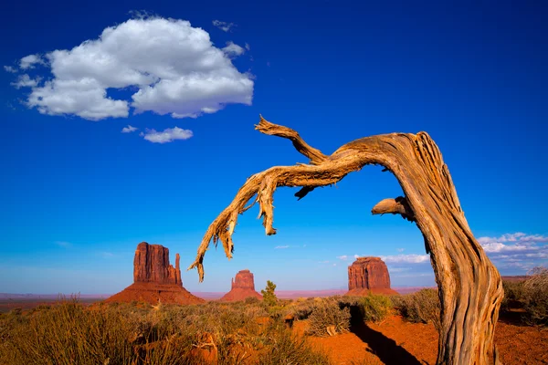 Monument Valley West og East Mittens og Merrick Butte – stockfoto