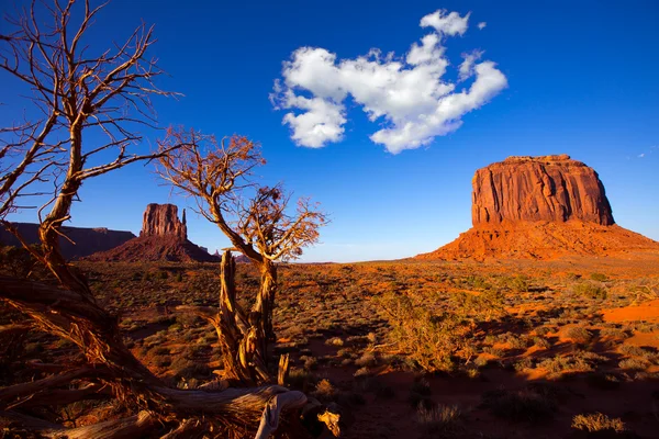 Monument Valley West Mitten and Merrick Butte — Stock Photo, Image