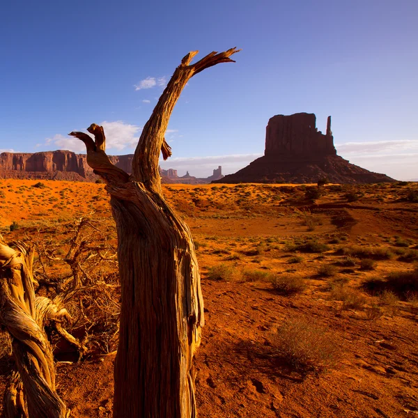 Monument West Mitten Butte in morning Utah — Stock Photo, Image