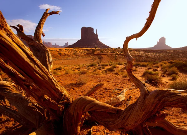 Pomnik zachód rękawica butte w utah rano — Zdjęcie stockowe