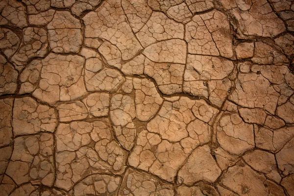 Mesquite duinen gedroogde klei macro detail in death valley — Stockfoto