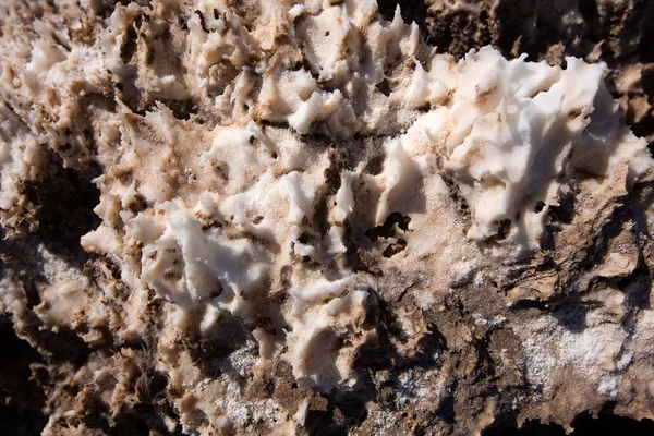 悪魔ゴルフコース デスバレー塩粘土層 — ストック写真