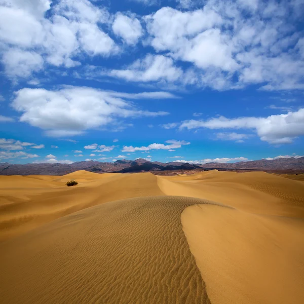 Мескіт дюни пустеля в Національний парк Долина смерті — стокове фото