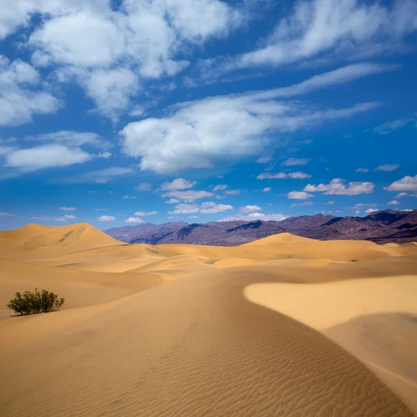 Mesquite duny pouště v death valley national park — Stock fotografie