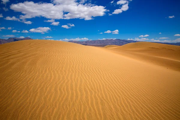 Mesquite duny pouště v death valley national park — Stock fotografie