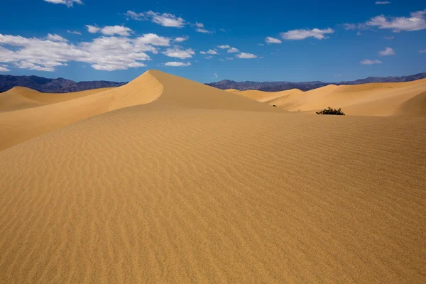 Mesquite-Dünen-Wüste im Death-Valley-Nationalpark — Stockfoto