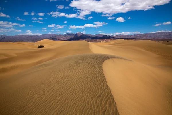 Mesquite duny pouště v death valley national park — Stock fotografie