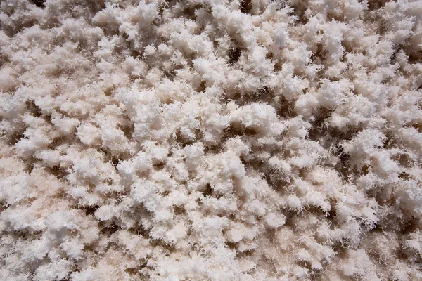 Badwater Basin Death Valley texturas de sal macro — Fotografia de Stock