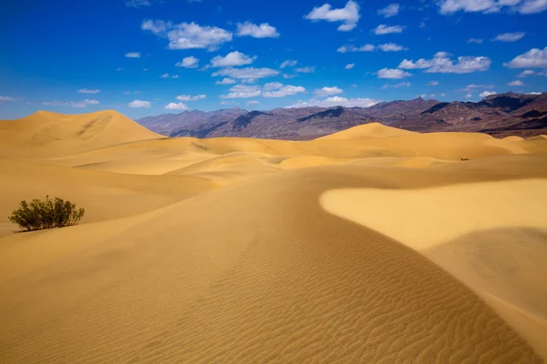 Mesquite duinen woestijn in death valley national park — Stockfoto