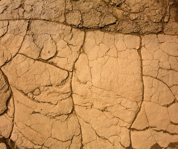 Mesquite sanddyner torkad lera makro detalj i death valley — Stockfoto