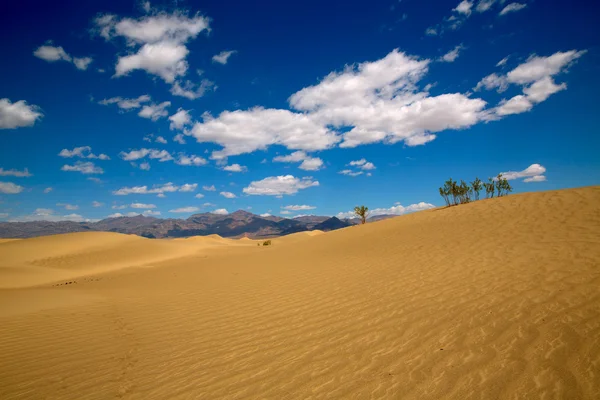 Mesquite duny pouště v death valley national park — Stock fotografie