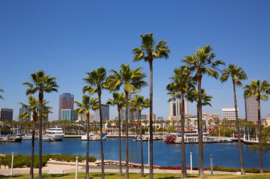 palmiye ağaçları bağlantı noktasının Long beach california manzarası