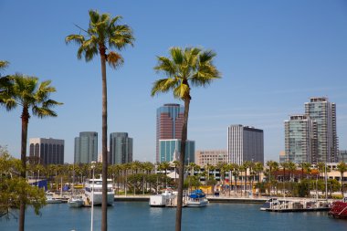 palmiye ağaçları bağlantı noktasının Long beach california manzarası