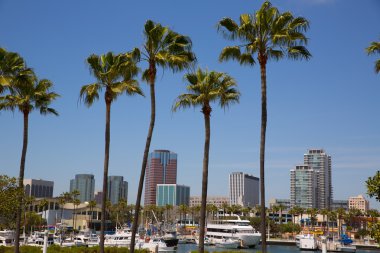 palmiye ağaçları bağlantı noktasının Long beach california manzarası
