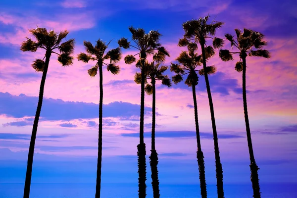 Καλιφόρνια φοίνικας δέντρα ηλιοβασίλεμα με πολύχρωμο ουρανό — Φωτογραφία Αρχείου