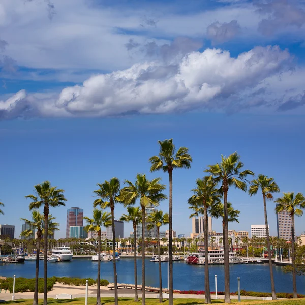 Long Beach horizonte de California desde las palmeras del puerto — Foto de Stock