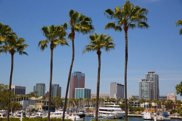 Long Beach horizonte de California desde las palmeras del puerto —  Fotos de Stock