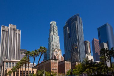 La downtown los angeles pershing square palmiye ağaçları