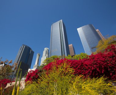 hill street downtown Los angeles la