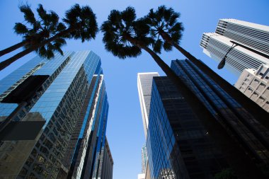 La los angeles downtown palmiye ağaçları ile