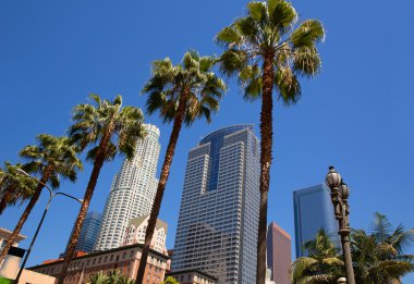 La downtown los angeles pershing square palmiye ağaçları