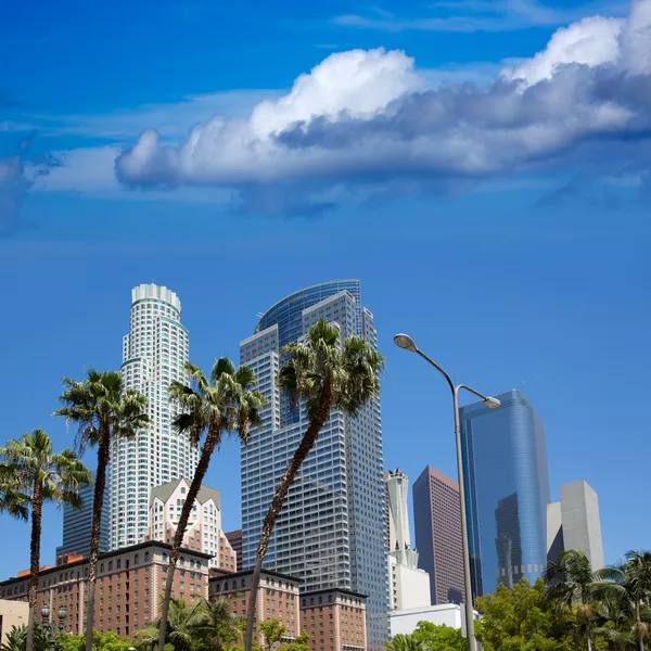 LA Downtown Los Angeles Pershing Square palm tress — Stock Photo, Image