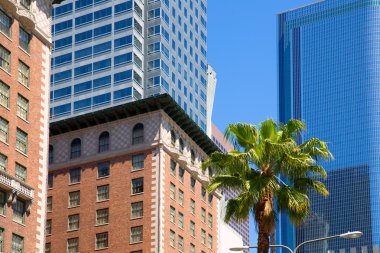 La downtown los angeles pershing square palmiye ağaçları