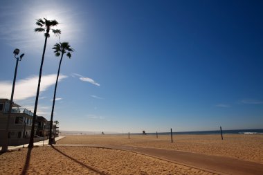 Kaliforniya'da newport beach yüksek palmiye ağaçları ile